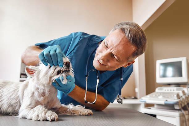 Austin, TX Emergency Dentist Pros